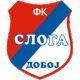 Team logo